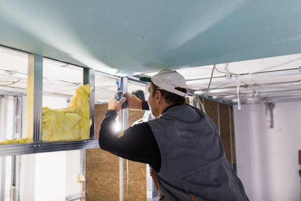 Best Insulation Replacement Services  in Chadron, NE