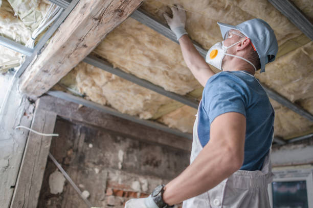 Best Insulation Repair Services  in Chadron, NE
