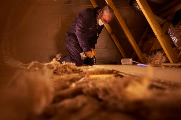 Best Local Insulation Services  in Chadron, NE