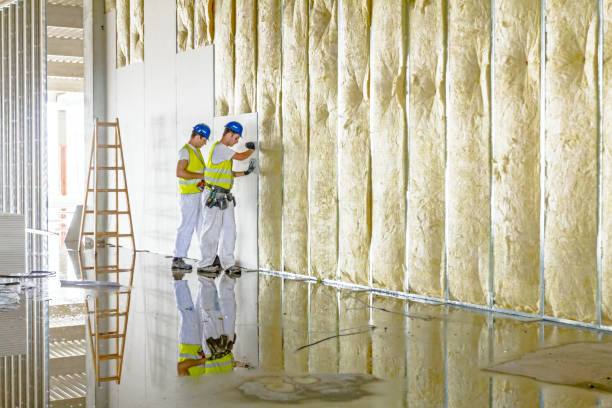Best Attic Insulation Installation  in Chadron, NE
